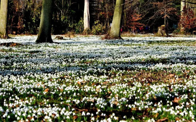 Hodsock Priory