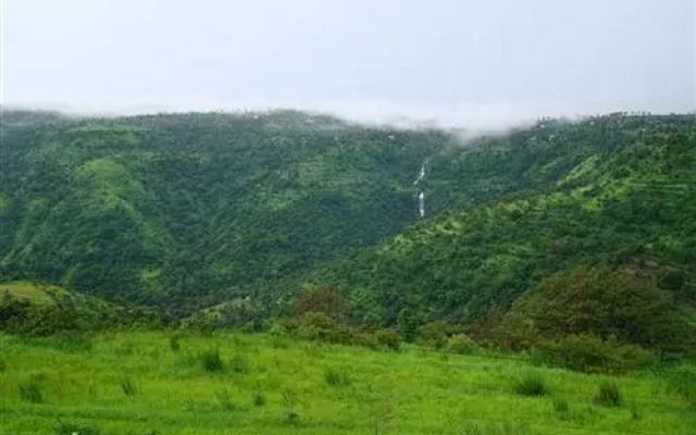 Shahee Resorts