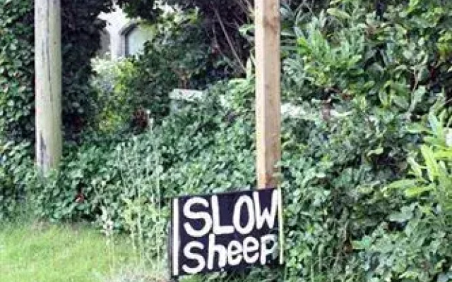 SlowSheep B&B