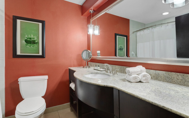 Crowne Plaza Houston Galleria Area by IHG