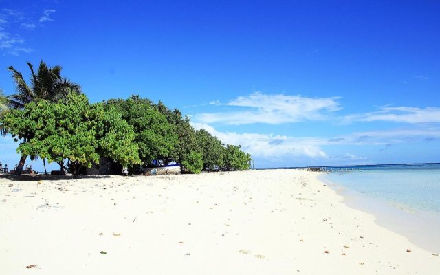 Tropic Tree Hotel Maldives