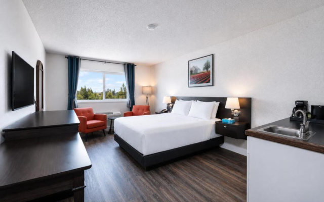 Hotel International