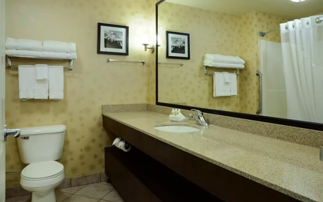 Holiday Inn Lethbridge by IHG