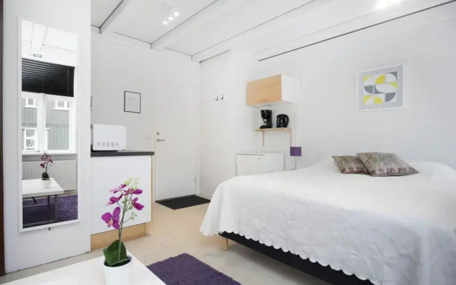 Reykjavik Central Apartments