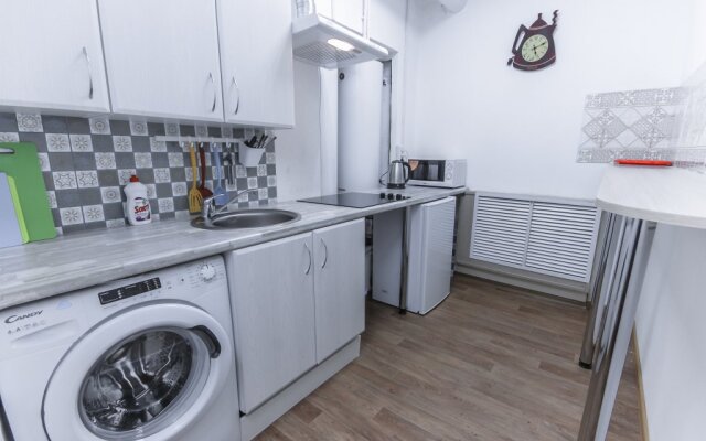 Studii Spb Chapygina