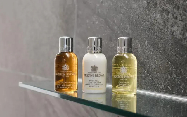 Villa Fontaine Grand Tokyo - Shiodome Hotel