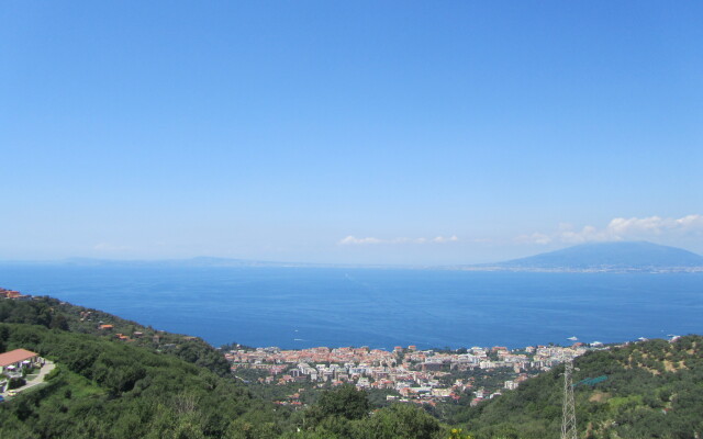 Cottages in Gagra