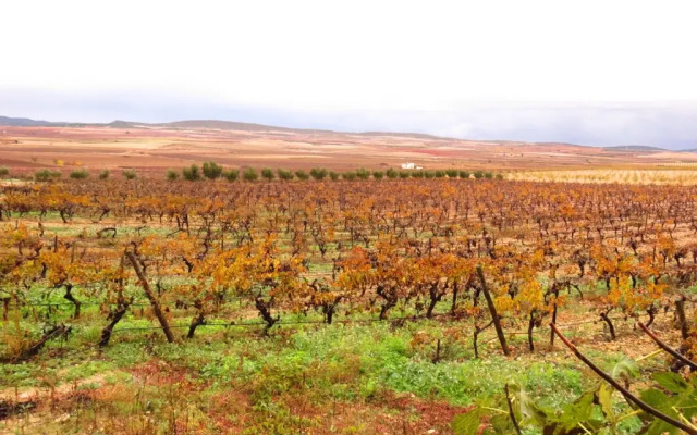 Hotel Enoturismo Mainetes