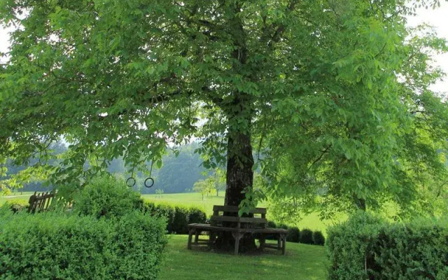 Bammer im Herndlberg