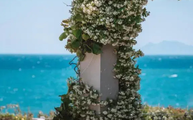 Blue Jasmine Hotel