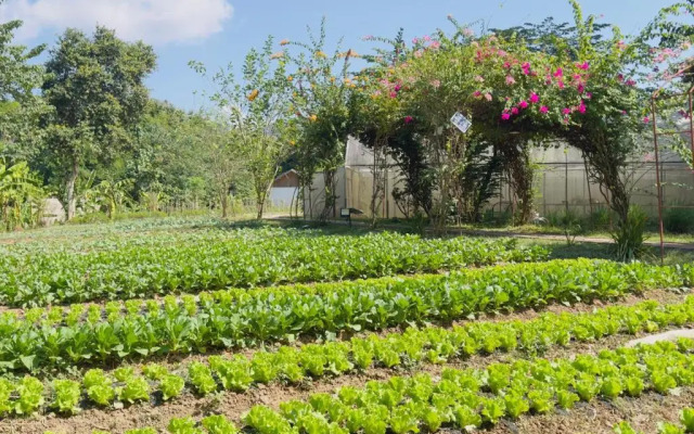 The Namkhan, a Small Luxury Hotel of the World