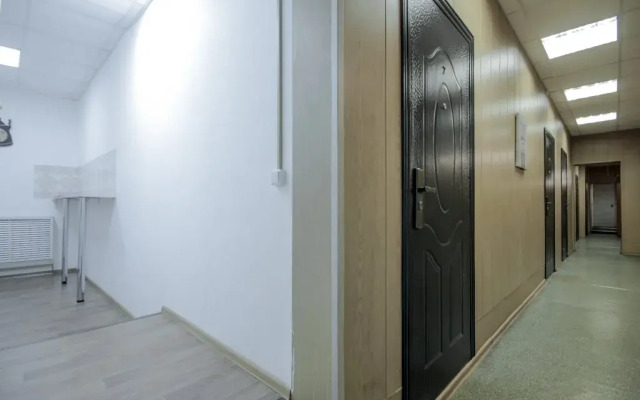 Studii Spb Chapygina