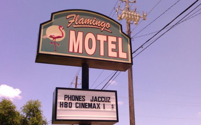 Flamingo Motel