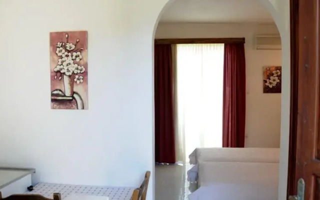Senia Studios