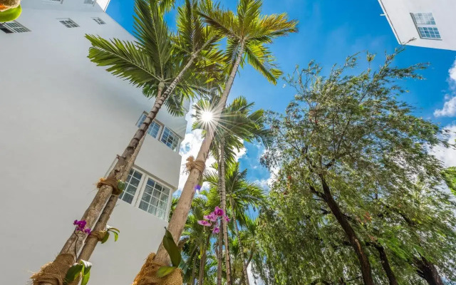 Hotel Belleza