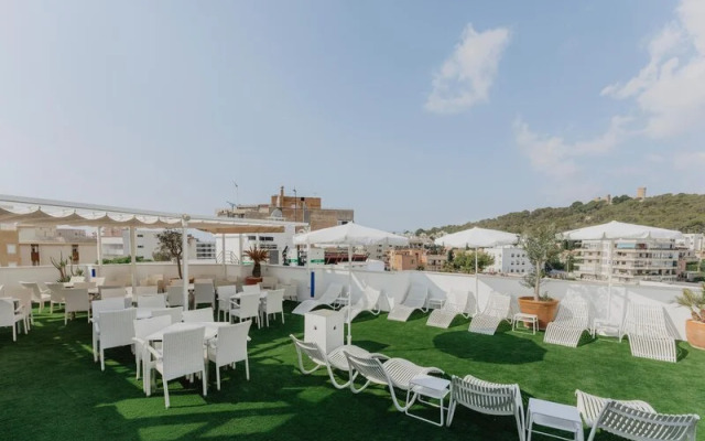 Gomila Palma Apartments - New Opening