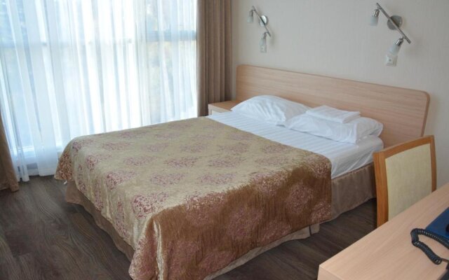 Electronika Health Resort