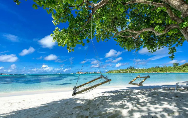 Ithaa Beach Maldives 