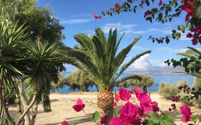 Thalassa Naxos