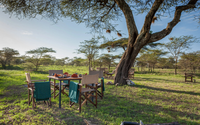 Gnu Ndutu Camp