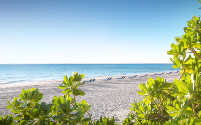 Pelican Grand Beach Resort - A Noble House Resort