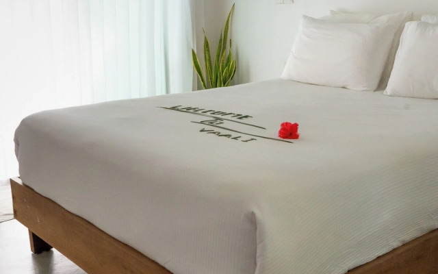 Vaali Maldives Island Escapes & Dive Guest House