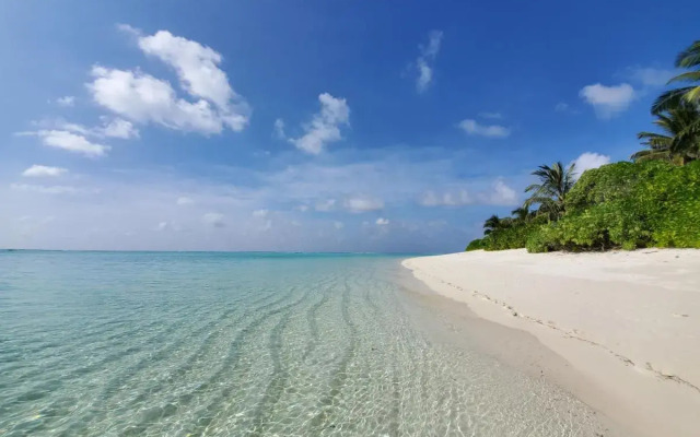 Summer inn Thoddoo