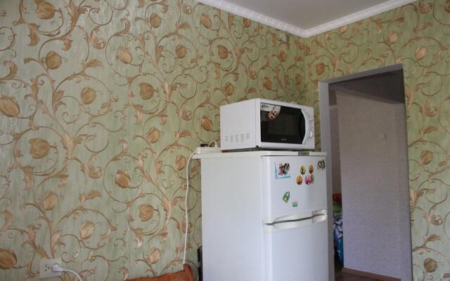 Apartment at Zdorovtseva