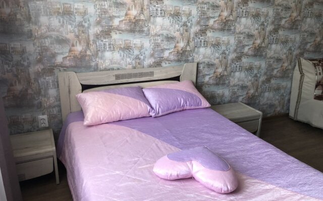 Vladimirskaya 55 V Apartments