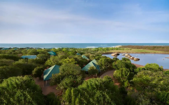Cinnamon Wild Yala