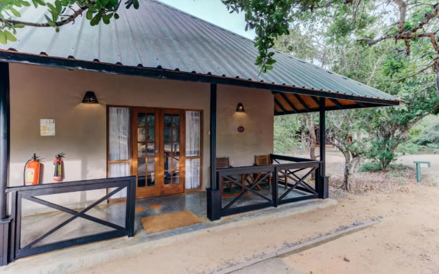 Cinnamon Wild Yala