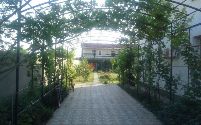 Belaya Guest House