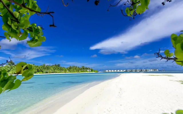 Ithaa Beach Maldives 