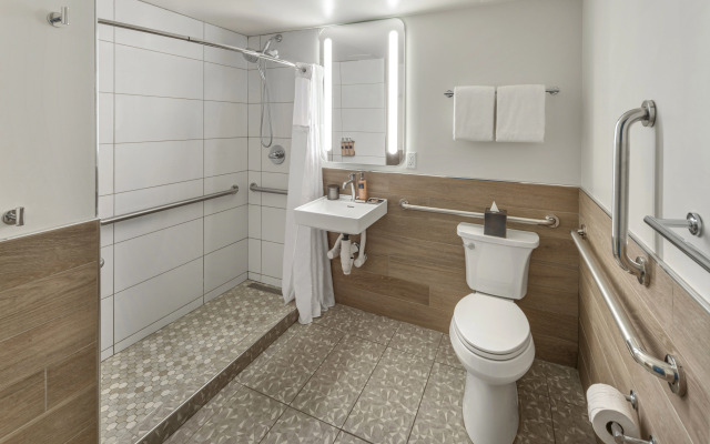 The Wildbirch Hotel — JDV by Hyatt