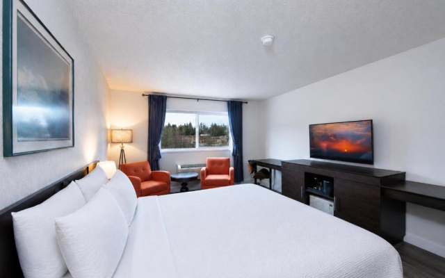 Hotel International