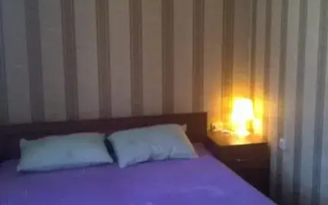 U Isakievskoj Ploschadi Apartments