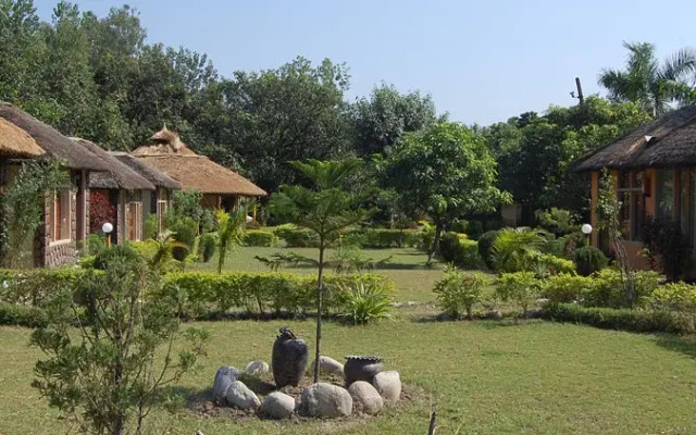 Jungle Paradise Hotel