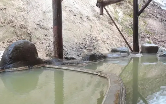 Hijiori Onsen Kinseikan