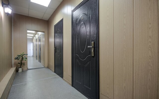 Studii Spb Chapygina