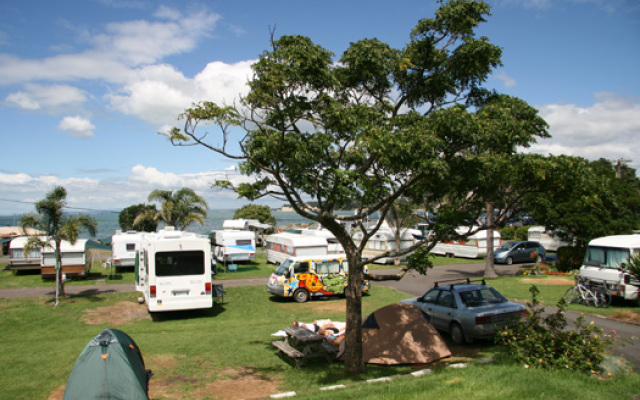 Takapuna Beach Holiday Park