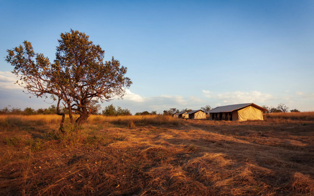 Gnu Mara River Camp