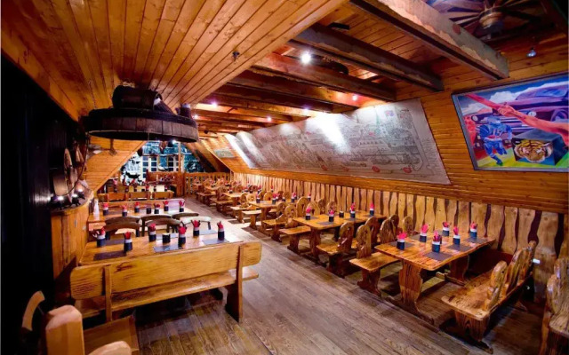 Viking Hotel 