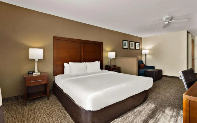 Comfort Inn & Suites Sequoia/Kings Canyon