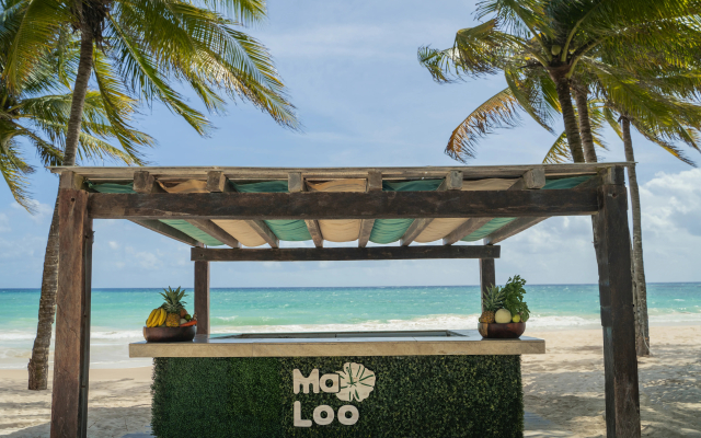 Catalonia Royal Tulum  Adults Only - All Inclusive