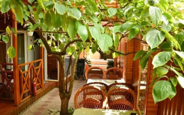 Teremok Guest House