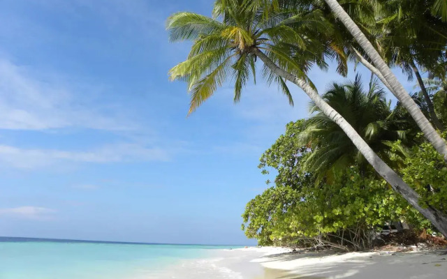 Vaali Maldives Island Escapes & Dive Guest House