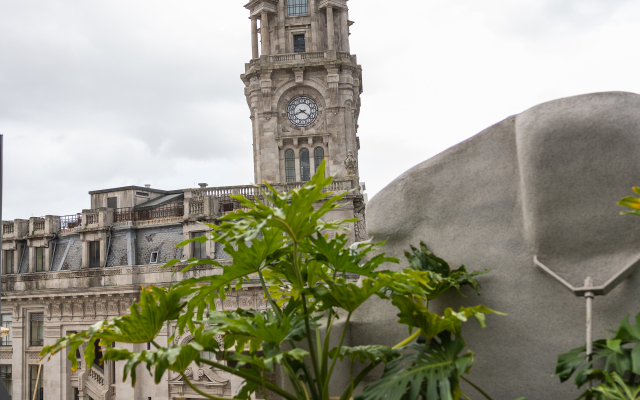 Axis Porto Club Aliados