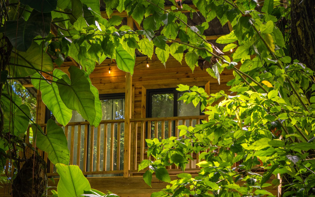 Palmar Beach Lodge