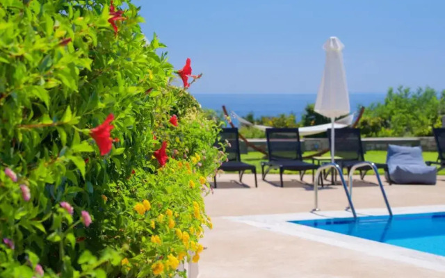Blue Jasmine Hotel