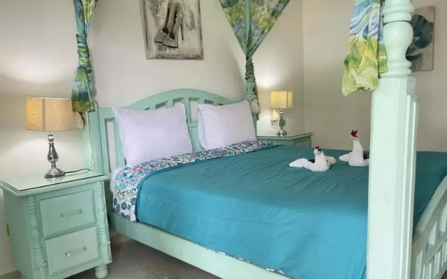 Soficu Eden Dominicus
